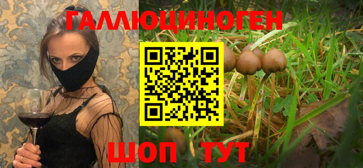Ревда  Галлюциногенные грибы прущие грибы  Вход с VPN 